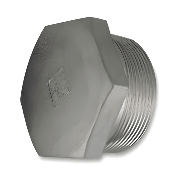 1/8" Hex Head Plug NPT #150 - Stainless Steel 316 - Forces Inc