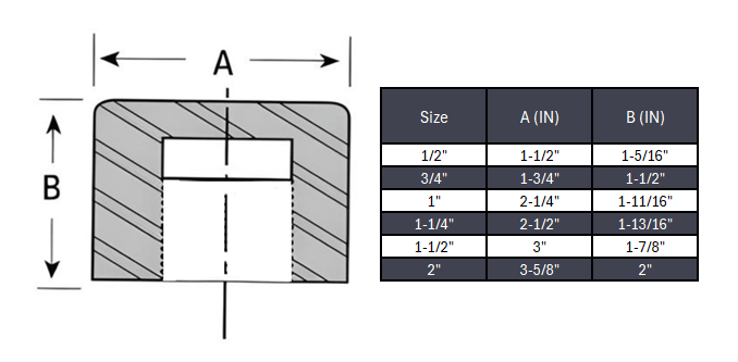 Cap Socket Weld #6000 - SS 304/304L