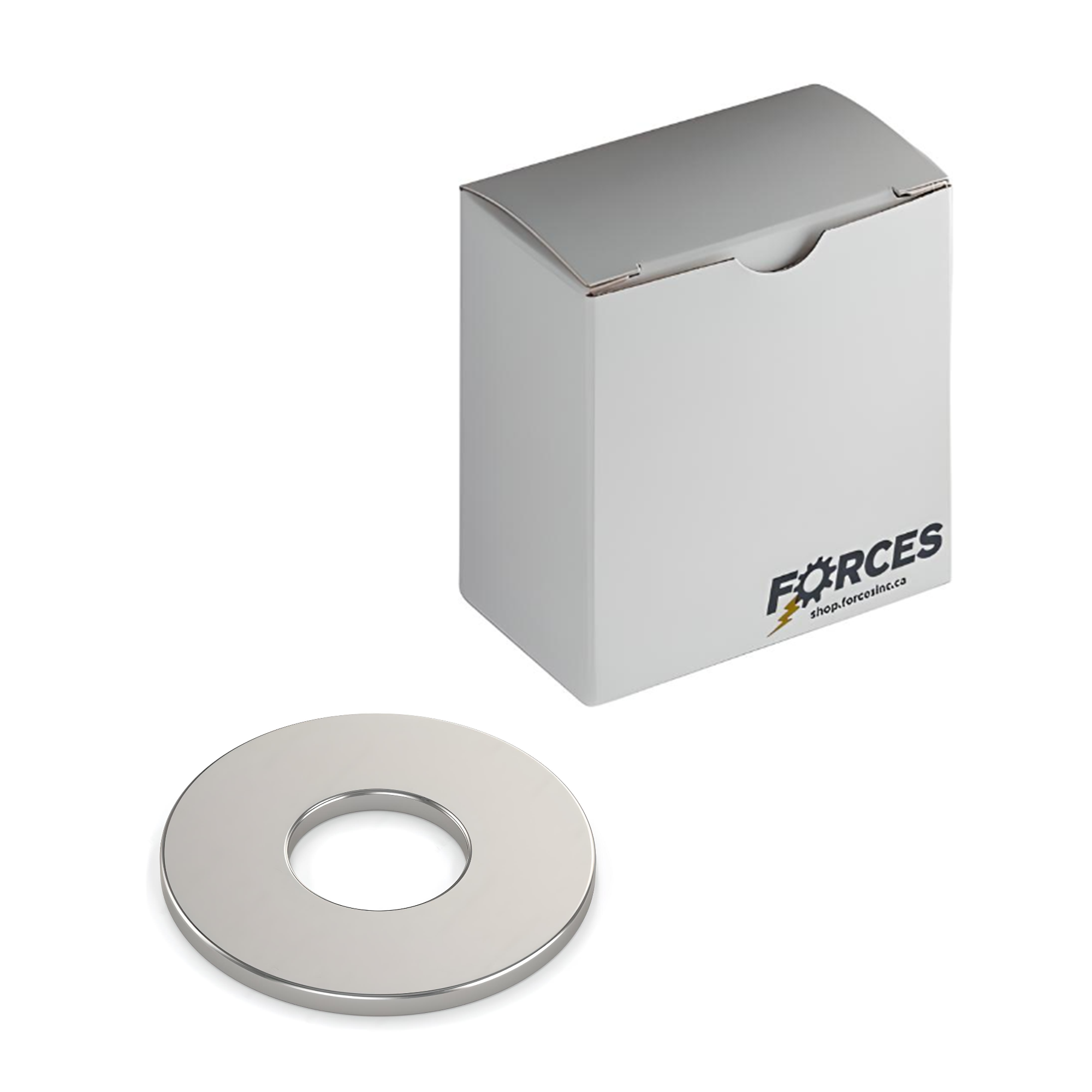 Standard Flat Washer 1/4" x 0.625" O.D. - Stainless Steel 316