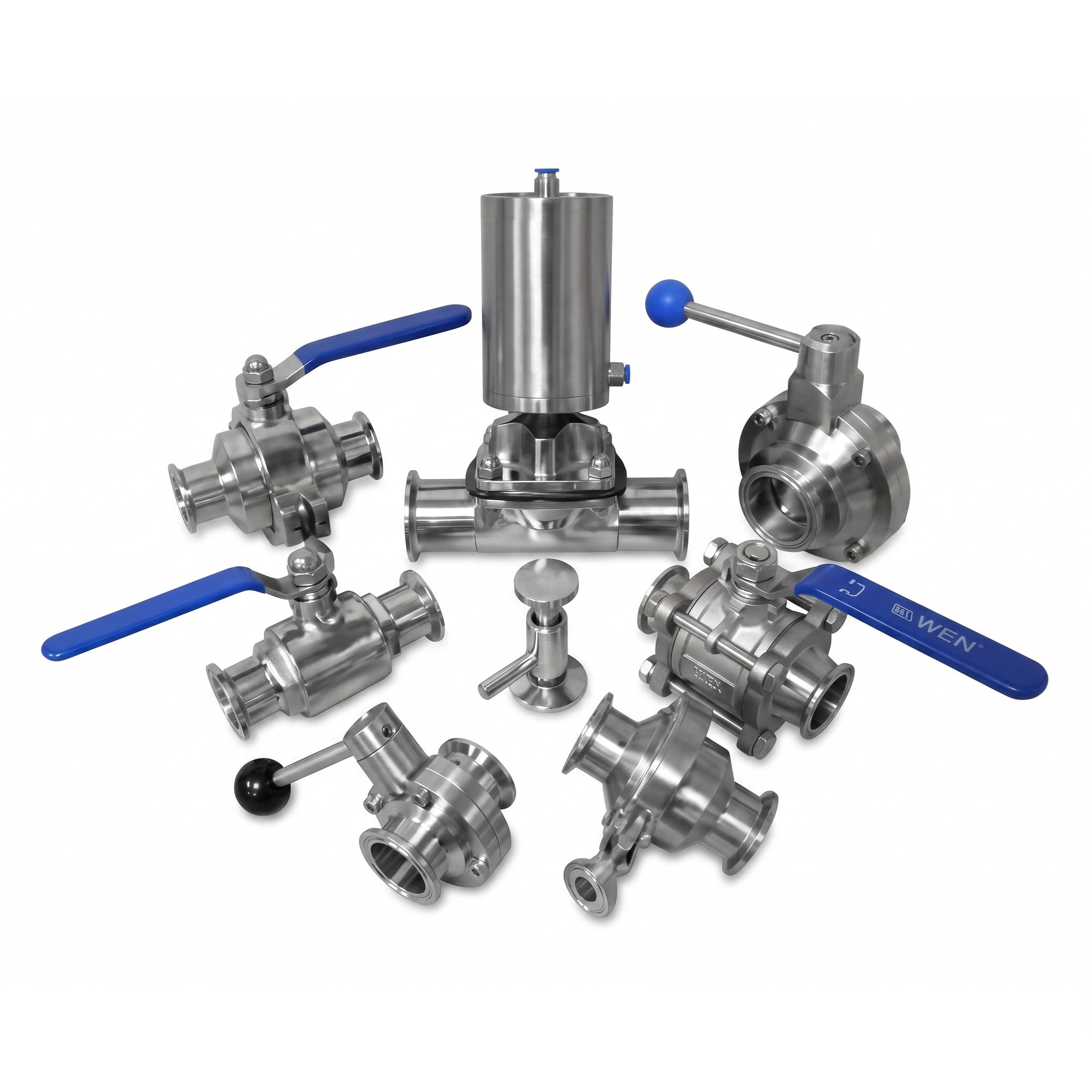 Sanitary Valves & Accessories - Forces Inc