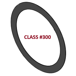 Ring Flange Gasket Class #300