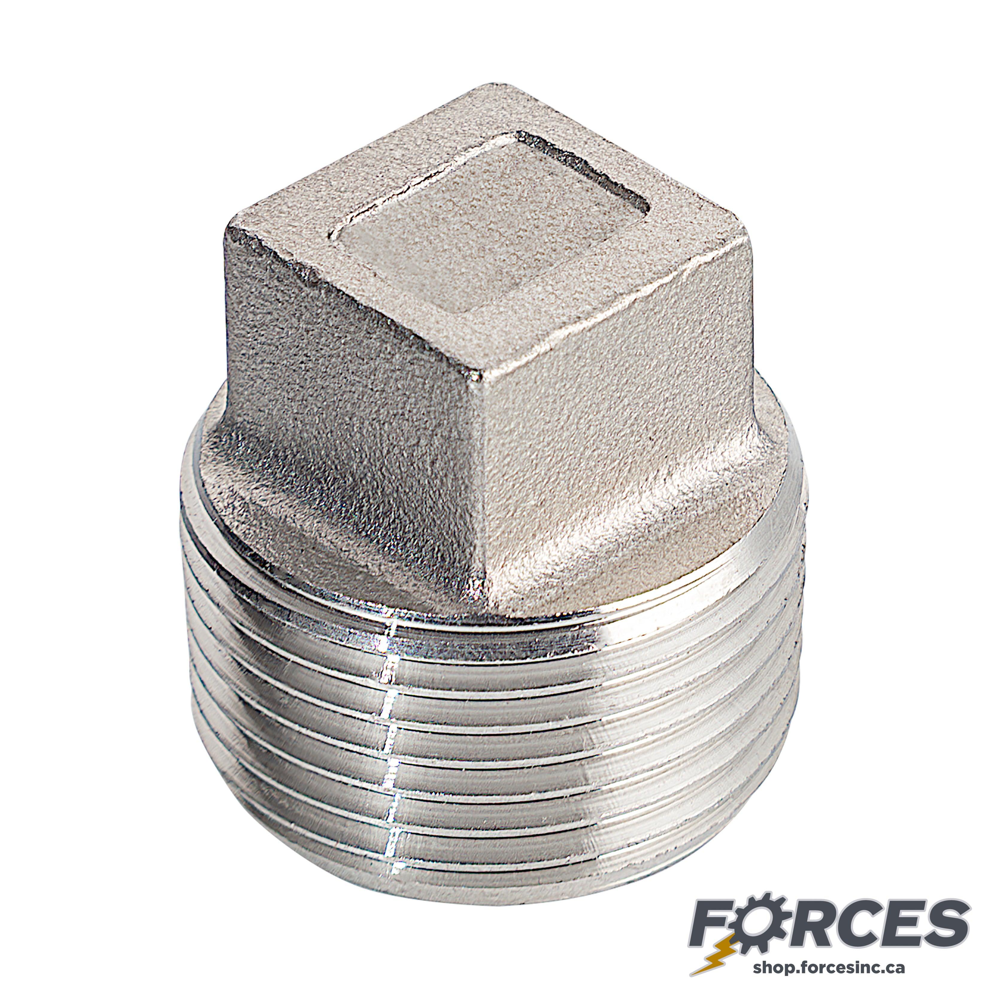 1/4" Square Plug NPT #150 - Stainless Steel 304 - Forces Inc