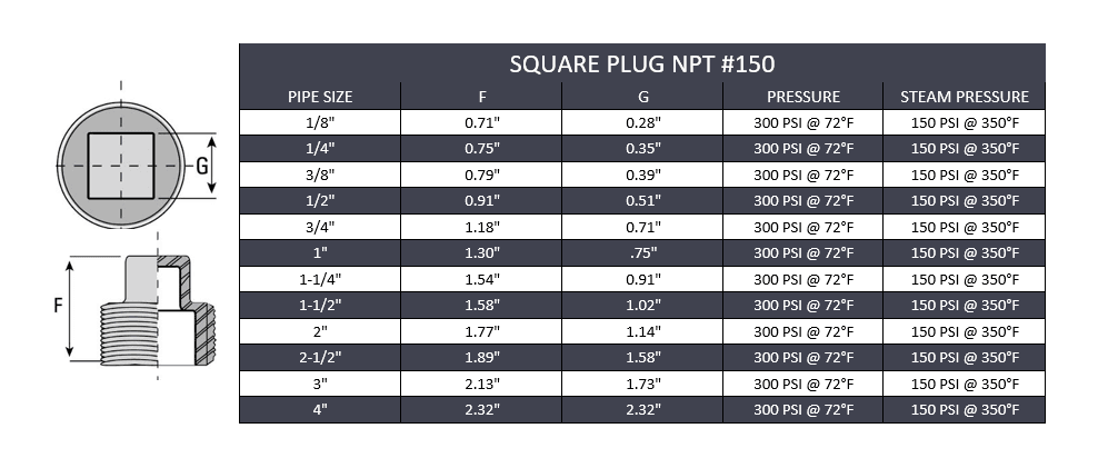 1" Square Plug NPT #150 - Stainless Steel 316 - Forces Inc