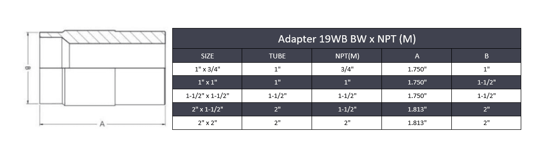 2" x 1-1/2" Butt Weld x Male NPT Adapter - Stainless Steel 316 - Forces Inc