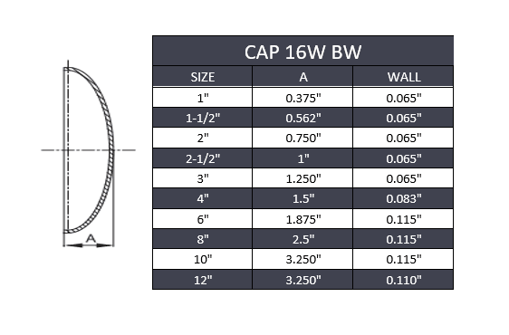 8" Butt Weld End Cap 16W - Stainless Steel 316 - Forces Inc