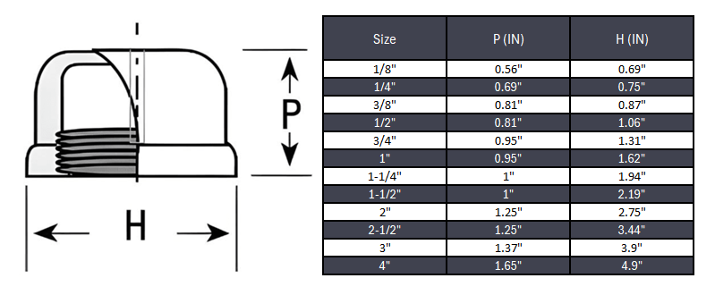 Cap NPT #150 - Stainless Steel 316