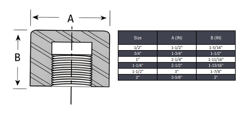 Cap NPT #6000 - SS 316/316L