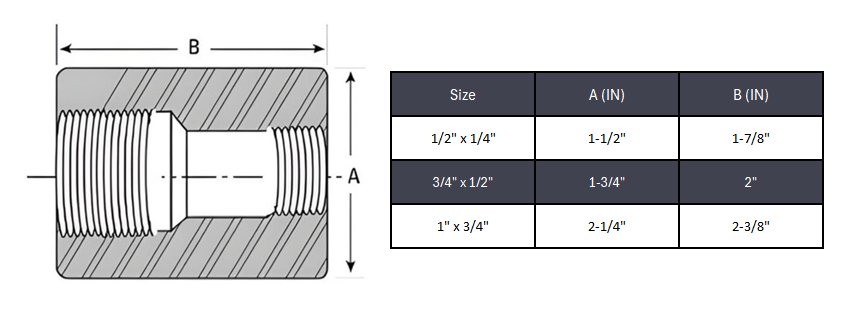 Coupling Reducer NPT #6000 - SS 316/316L