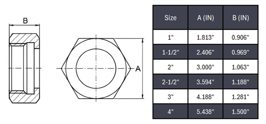 Bevel Seat 13H Hex Nut ACME - SS 304