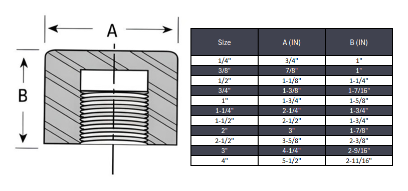 Cap NPT #3000 - SS 304/304L