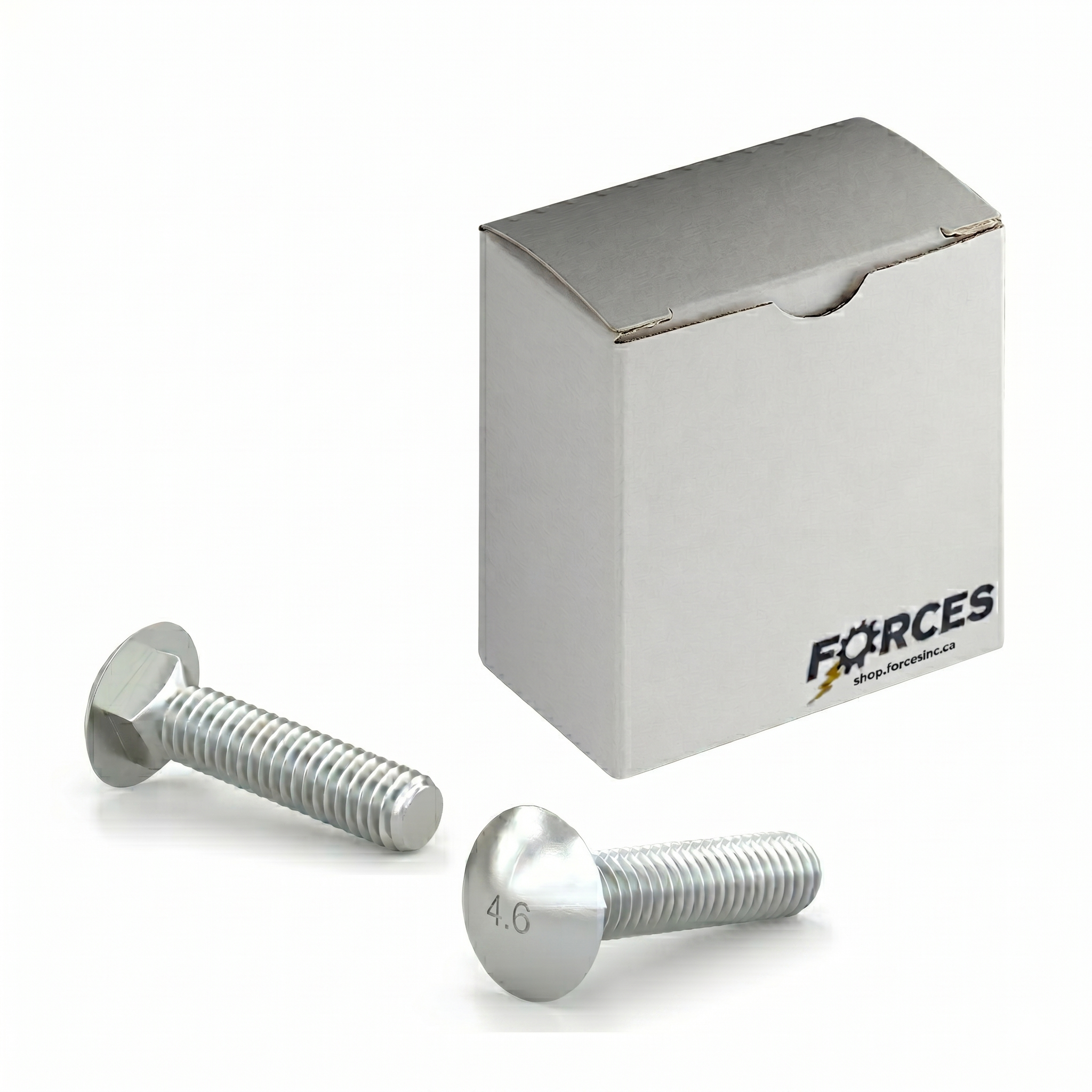 DIN 603 Carriage Bolt M10-1.50 x 100mm Full thread - Zinc Plated Class 4.6