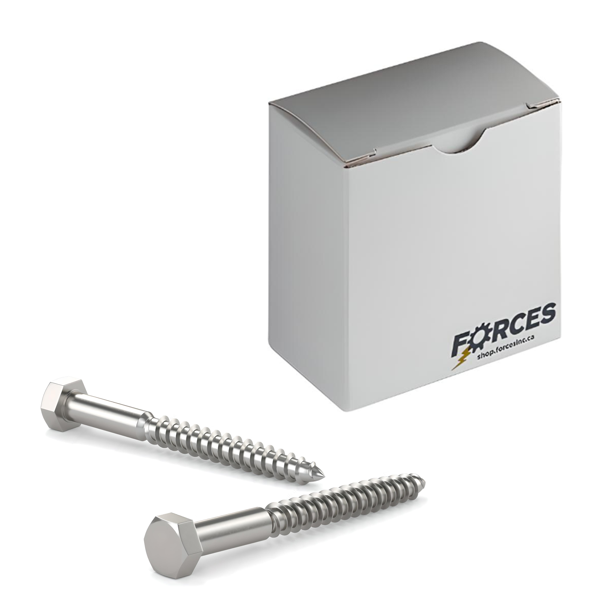 Hex Lag Screw 5/16"-9 x 2" - Stainless Steel 316