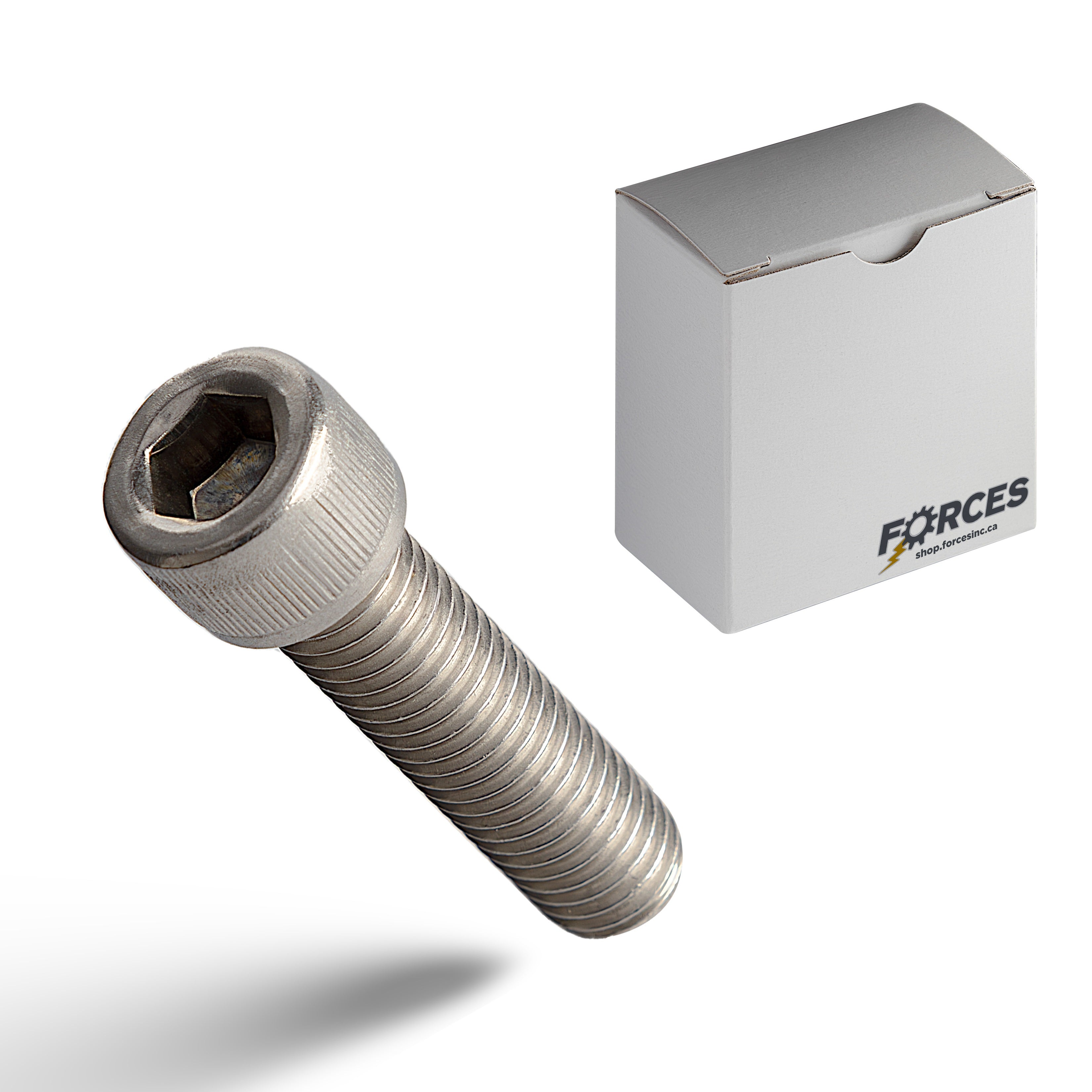 Stainless Socket Head Socket Cap Screw