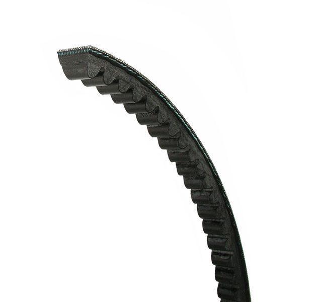 BX120 V-Belt | Cogged Raw Edge Belt - Forces Inc