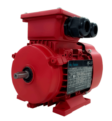 IEC Motor 12.4HP, 1800RPM, 575/990V, Frame 132M, TEFC | IJA132M1-4-59 - Forces Inc