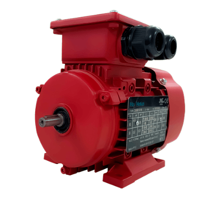 IEC Motor 15HP, 1200RPM, 575/990V, Frame 160L, TEFC | IJA160L-6-59 - Forces Inc